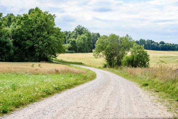 Cost of Stone Driveway Repair in Gaithersburg